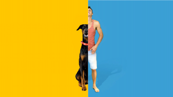 Get A Dog - TVC1