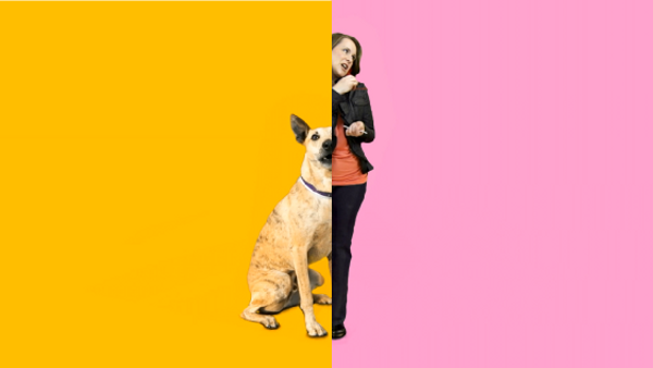 Get A Dog - TVC2